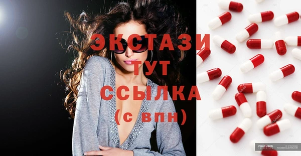 ECSTASY Богданович